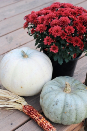 5 Inexpensive Ways to Style Pumpkins All Fall
