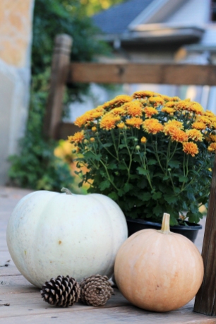 5 Inexpensive Ways to Style Pumpkins All Fall