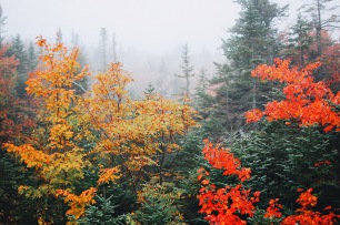 Fall foliage New Hampshire Autumn Kancamagus