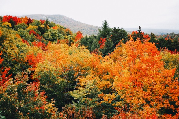 Kancamagus Fall Autumn foliage New Hampshire