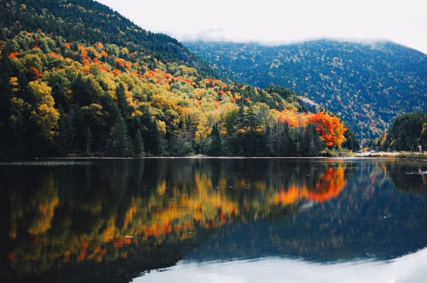New Hampshire Fall foliage White Mountains